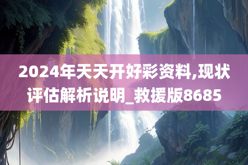 2024年天天开好彩资料,现状评估解析说明_救援版8685