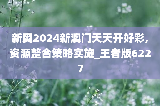 新奥2024新澳门天天开好彩,资源整合策略实施_王者版6227