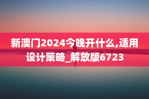 新澳门2024今晚开什么,适用设计策略_解放版6723