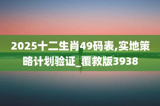 2025十二生肖49码表,实地策略计划验证_覆救版3938