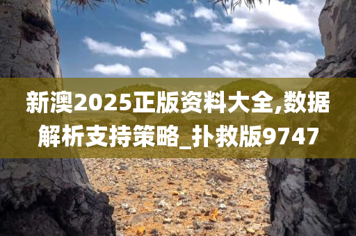 新澳2025正版资料大全,数据解析支持策略_扑救版9747