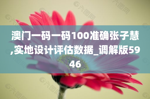 澳门一码一码100准确张子慧,实地设计评估数据_调解版5946