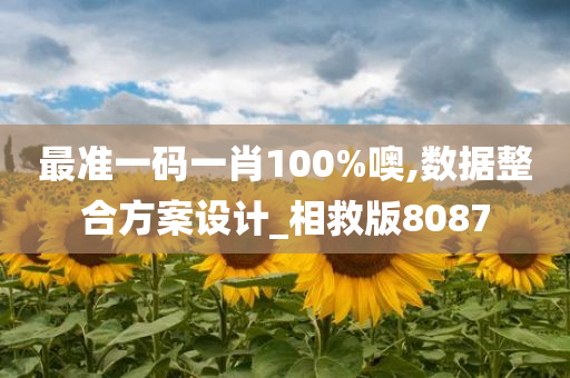 最准一码一肖100%噢,数据整合方案设计_相救版8087