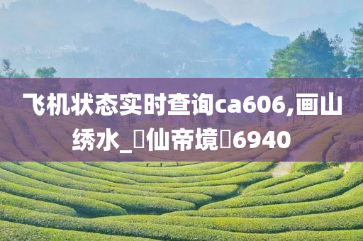 飞机状态实时查询ca606,画山绣水_?仙帝境?6940