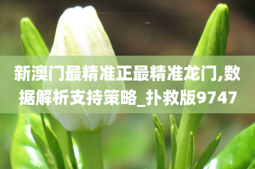 新澳门最精准正最精准龙门,数据解析支持策略_扑救版9747