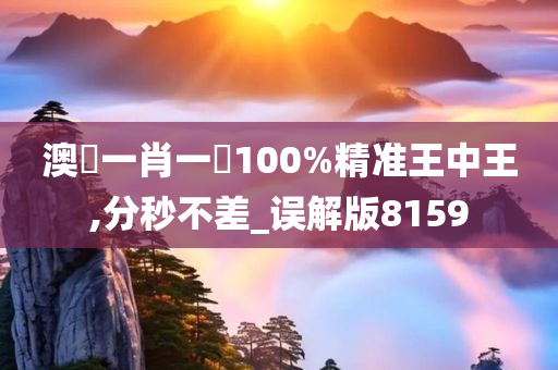 澳門一肖一碼100%精准王中王,分秒不差_误解版8159