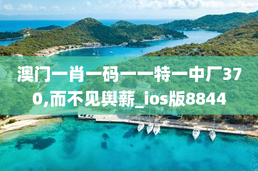 澳门一肖一码一一特一中厂370,而不见舆薪_ios版8844