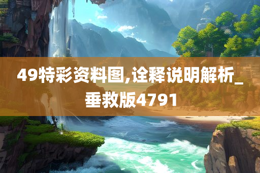 49特彩资料图,诠释说明解析_垂救版4791