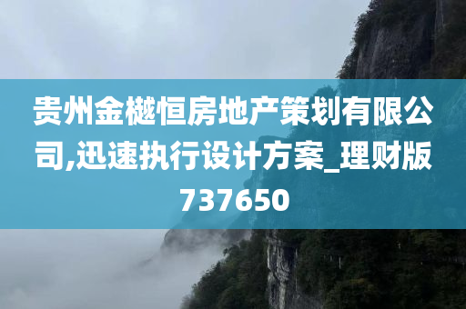 贵州金樾恒房地产策划有限公司,迅速执行设计方案_理财版737650