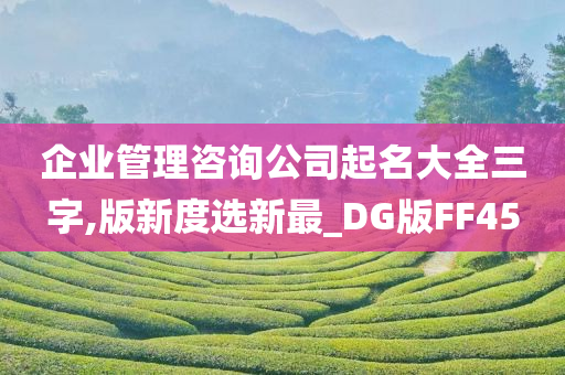 企业管理咨询公司起名大全三字,版新度选新最_DG版FF45