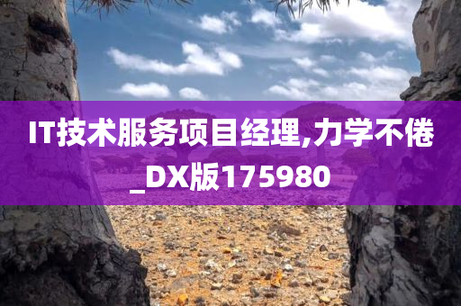 IT技术服务项目经理,力学不倦_DX版175980