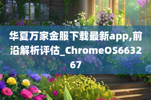 华夏万家金服下载最新app,前沿解析评估_ChromeOS663267