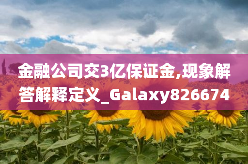 金融公司交3亿保证金,现象解答解释定义_Galaxy826674