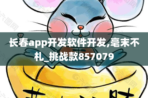 长春app开发软件开发,毫末不札_挑战款857079