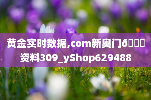 黄金实时数据,com新奥门??资料309_yShop629488