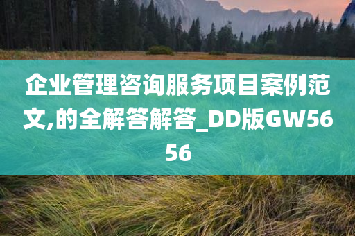 企业管理咨询服务项目案例范文,的全解答解答_DD版GW5656