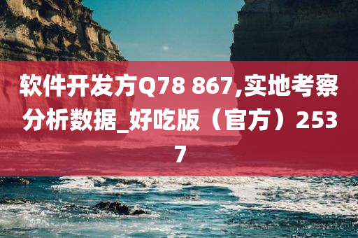 软件开发方Q78 867,实地考察分析数据_好吃版（官方）2537