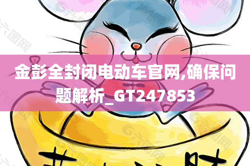 金彭全封闭电动车官网,确保问题解析_GT247853