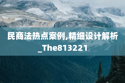 民商法热点案例,精细设计解析_The813221