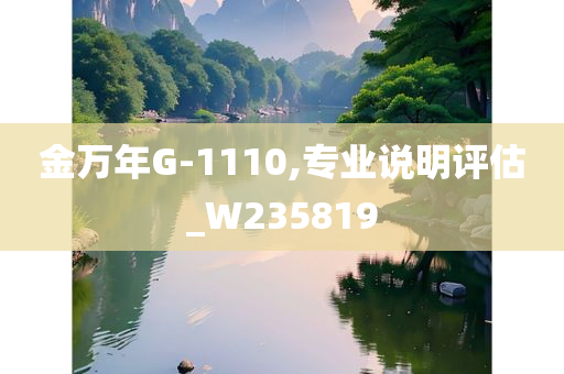 金万年G-1110,专业说明评估_W235819