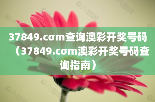 37849.cσm查询澳彩开奖号码（37849.cσm澳彩开奖号码查询指南）