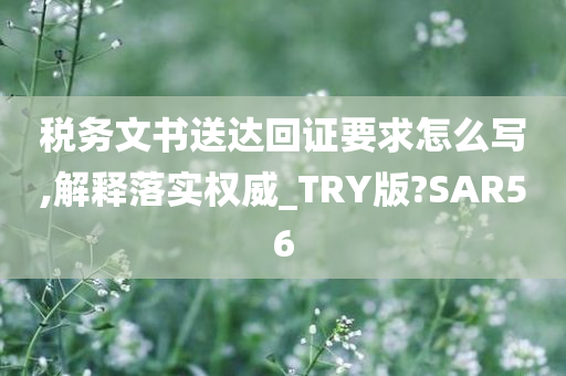 税务文书送达回证要求怎么写,解释落实权威_TRY版?SAR56