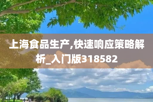 上海食品生产,快速响应策略解析_入门版318582