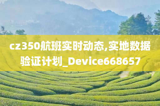 cz350航班实时动态,实地数据验证计划_Device668657