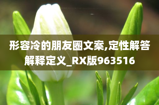 形容冷的朋友圈文案,定性解答解释定义_RX版963516