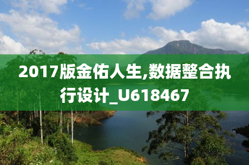 2017版金佑人生,数据整合执行设计_U618467