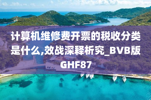 计算机维修费开票的税收分类是什么,效战深释析究_BVB版GHF87