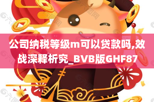 公司纳税等级m可以贷款吗,效战深释析究_BVB版GHF87