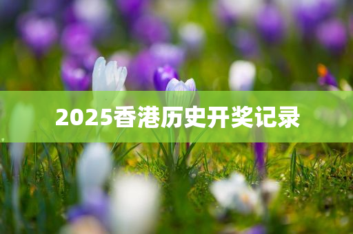 2025香港历史开奖记录