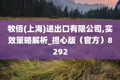 牧佰(上海)进出口有限公司,实效策略解析_担心版（官方）8292