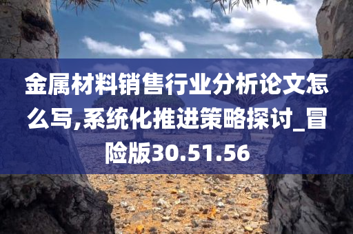 金属材料销售行业分析论文怎么写,系统化推进策略探讨_冒险版30.51.56