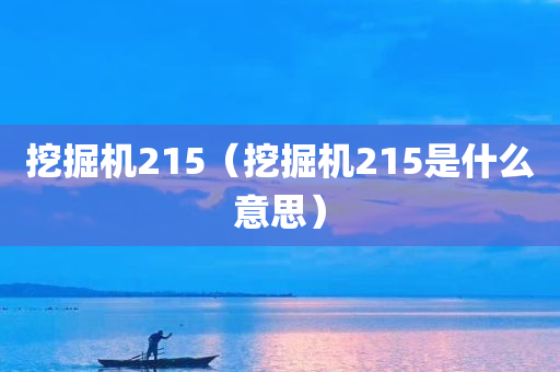 挖掘机215（挖掘机215是什么意思）