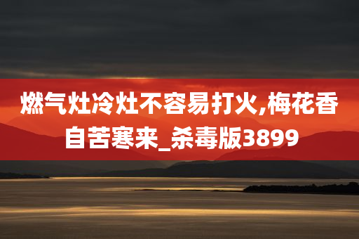 燃气灶冷灶不容易打火,梅花香自苦寒来_杀毒版3899