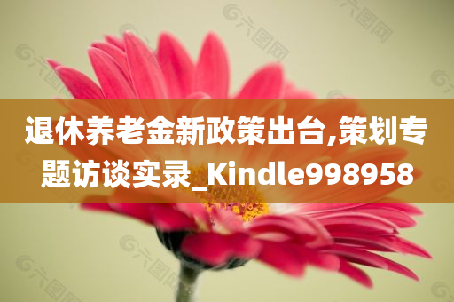 退休养老金新政策出台,策划专题访谈实录_Kindle998958