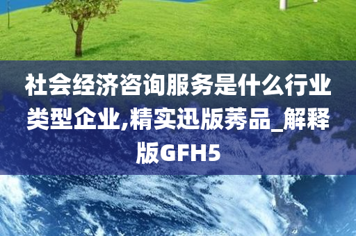 社会经济咨询服务是什么行业类型企业,精实迅版莠品_解释版GFH5