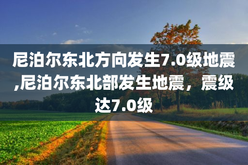 尼泊尔东北方向发生7.0级地震,尼泊尔东北部发生地震，震级达7.0级