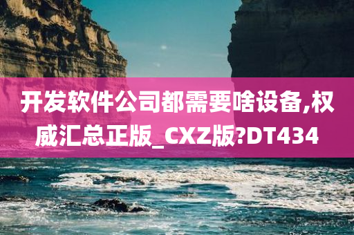 开发软件公司都需要啥设备,权威汇总正版_CXZ版?DT434