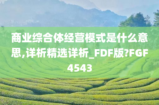 商业综合体经营模式是什么意思,详析精选详析_FDF版?FGF4543