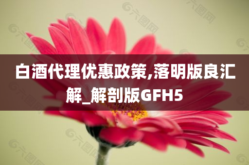 白酒代理优惠政策,落明版良汇解_解剖版GFH5