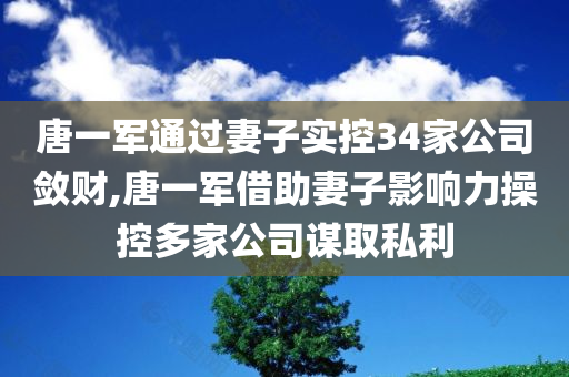 唐一军通过妻子实控34家公司敛财,唐一军借助妻子影响力操控多家公司谋取私利