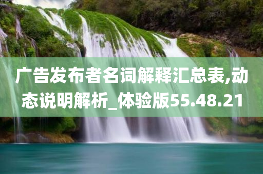 广告发布者名词解释汇总表,动态说明解析_体验版55.48.21