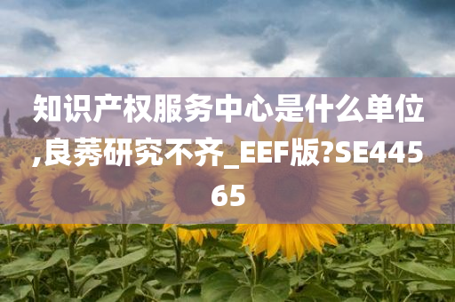 知识产权服务中心是什么单位,良莠研究不齐_EEF版?SE44565