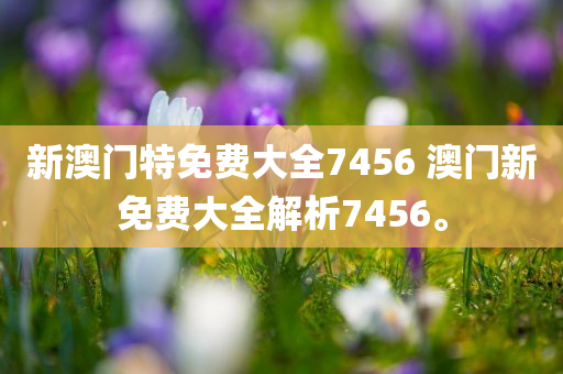 新澳门特免费大全7456 澳门新免费大全解析7456。