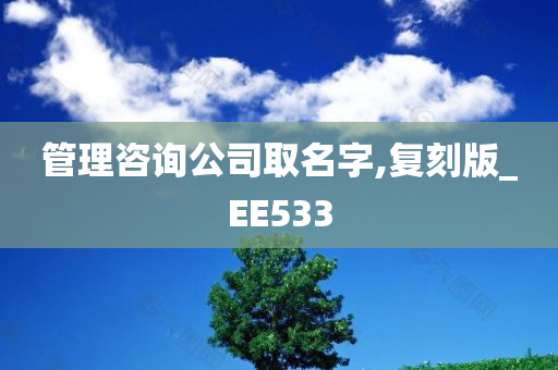 管理咨询公司取名字,复刻版_EE533