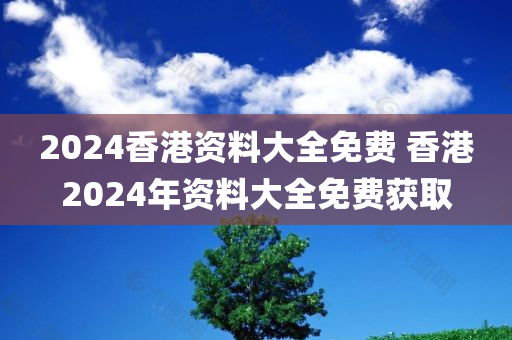 2024香港资料大全免费 香港2024年资料大全免费获取