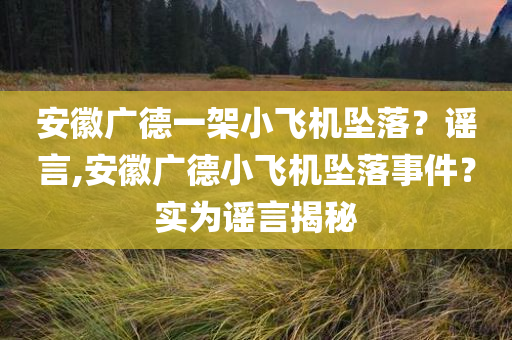 安徽广德一架小飞机坠落？谣言,安徽广德小飞机坠落事件？实为谣言揭秘